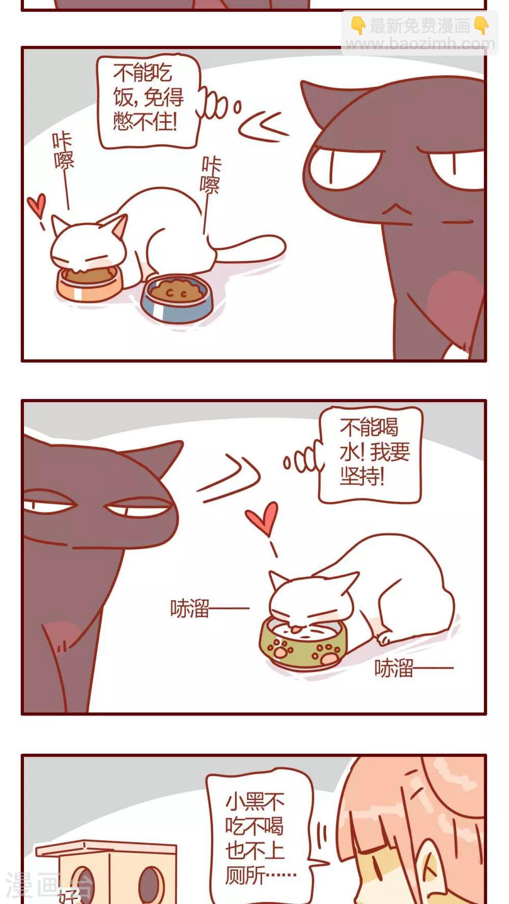 《猫咪甜品屋》第4话 第15页