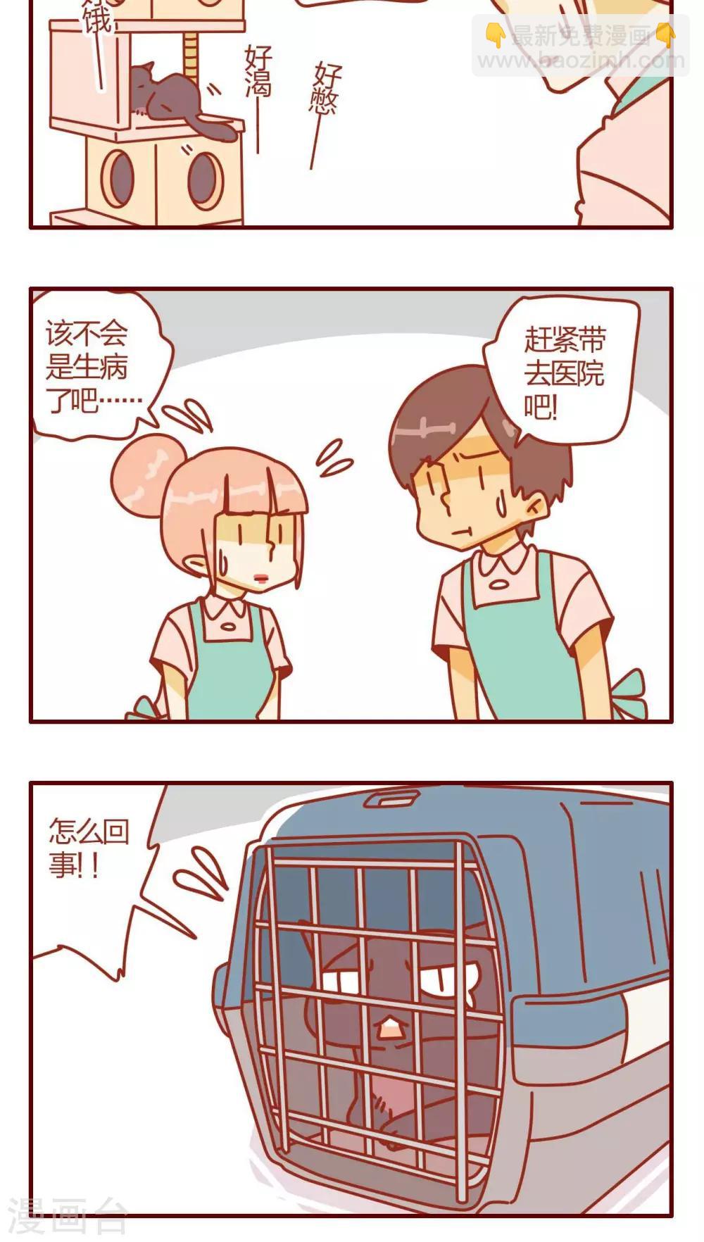 《猫咪甜品屋》第4话 第16页