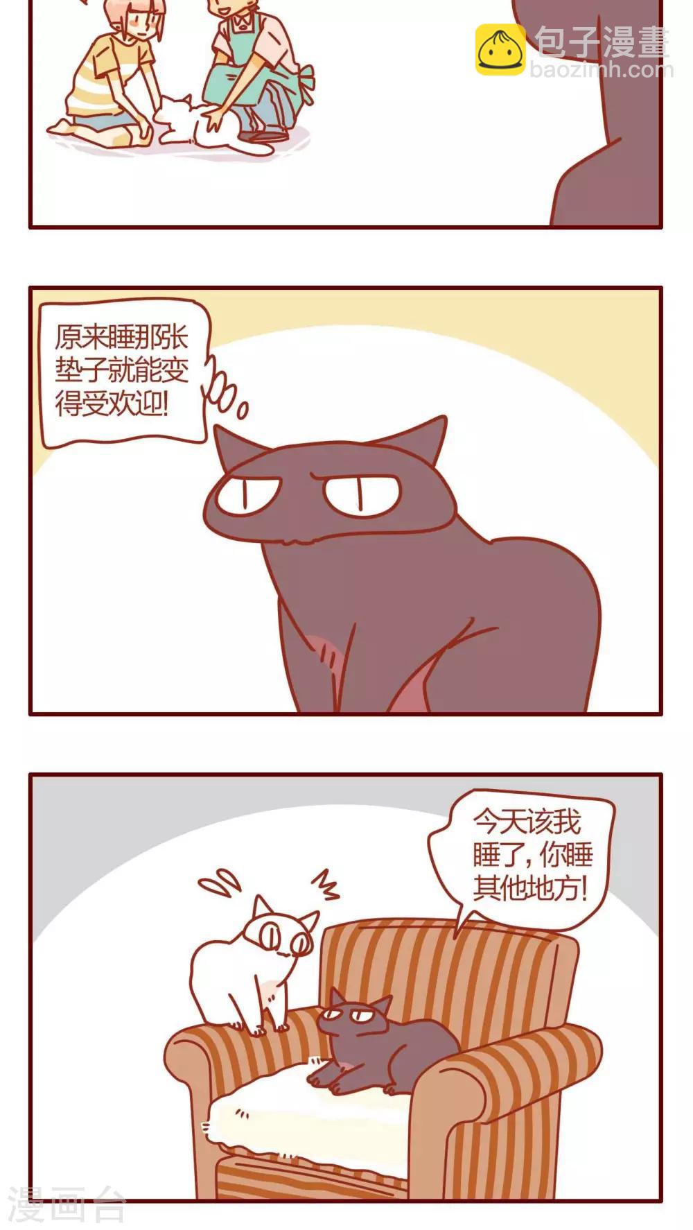 《猫咪甜品屋》第4话 第8页