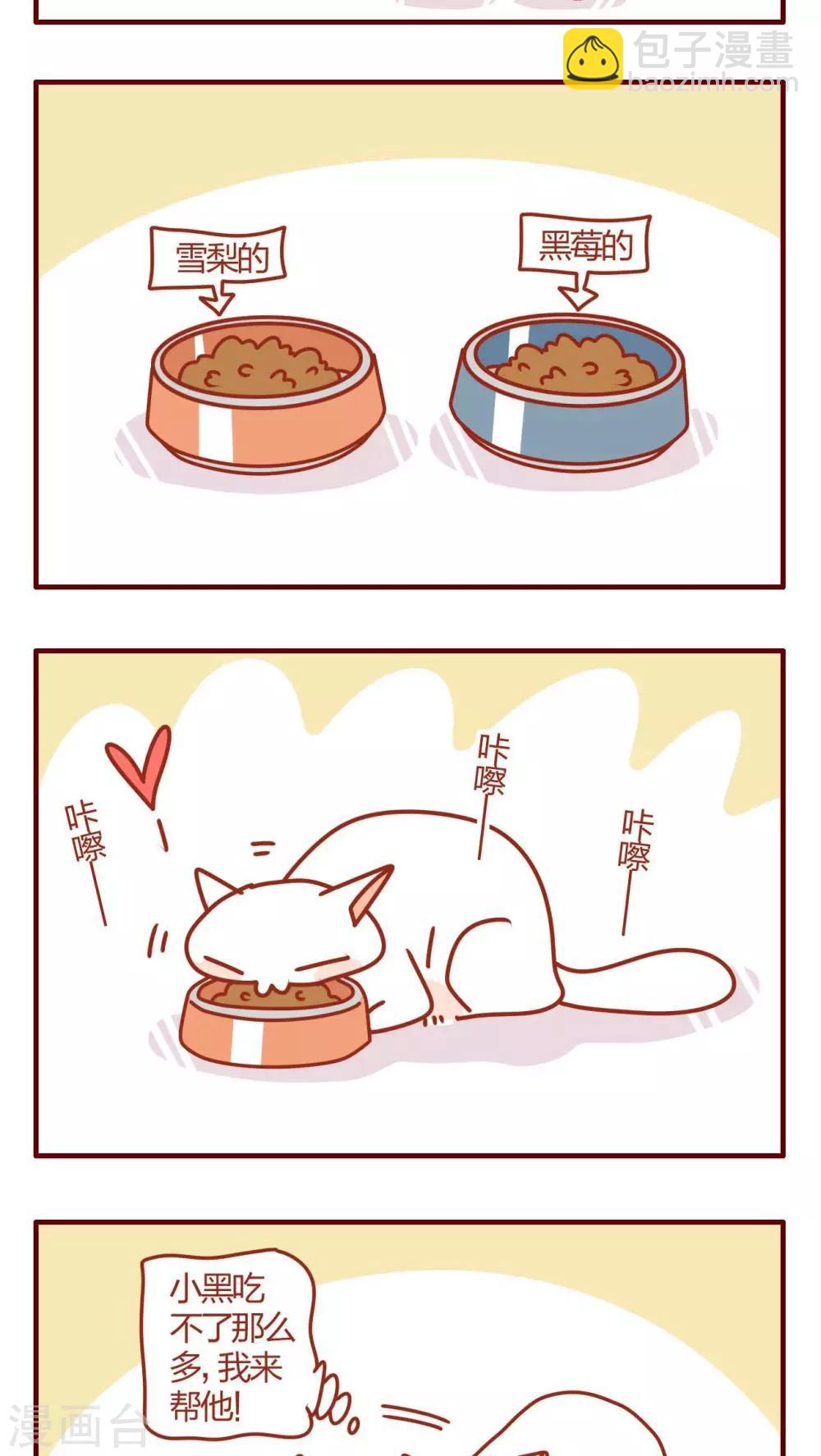 《猫咪甜品屋》第2话 第3页