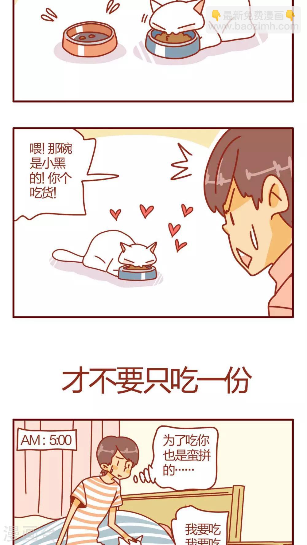 《猫咪甜品屋》第2话 第4页