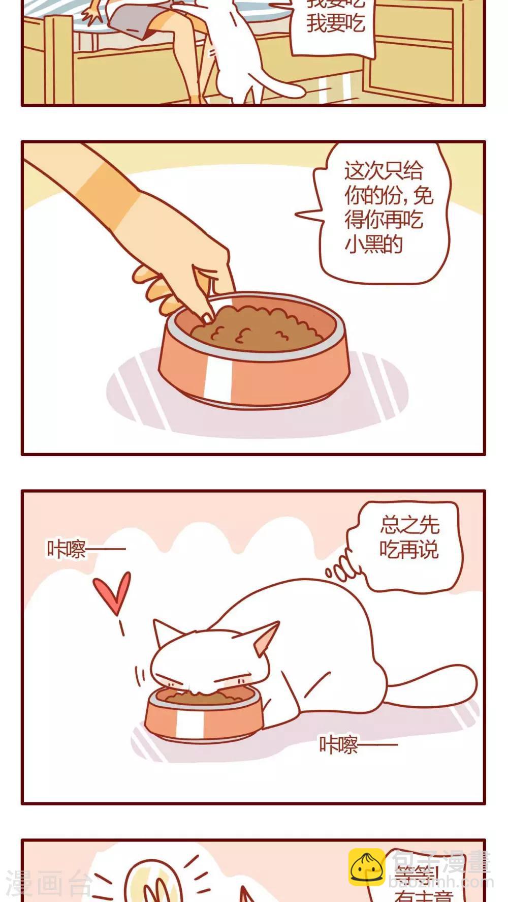 《猫咪甜品屋》第2话 第5页