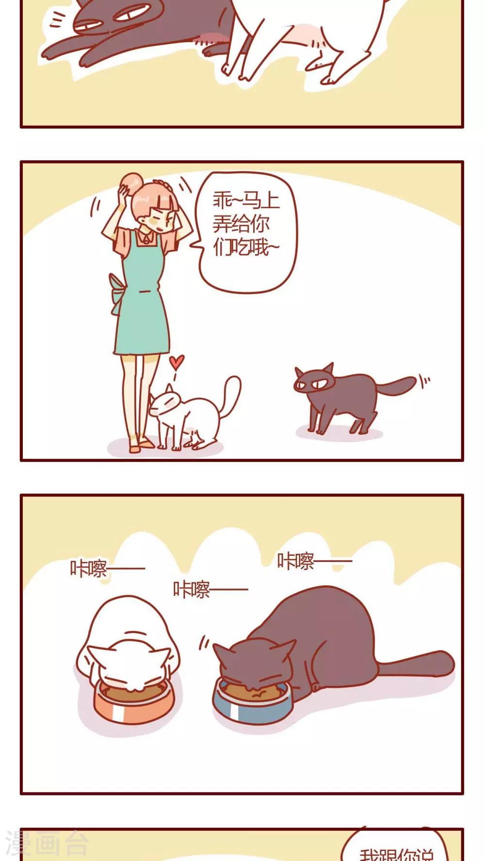《猫咪甜品屋》第2话 第9页