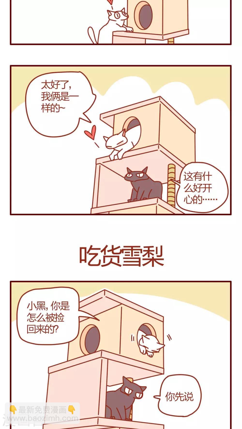 《猫咪甜品屋》第1话 第14页