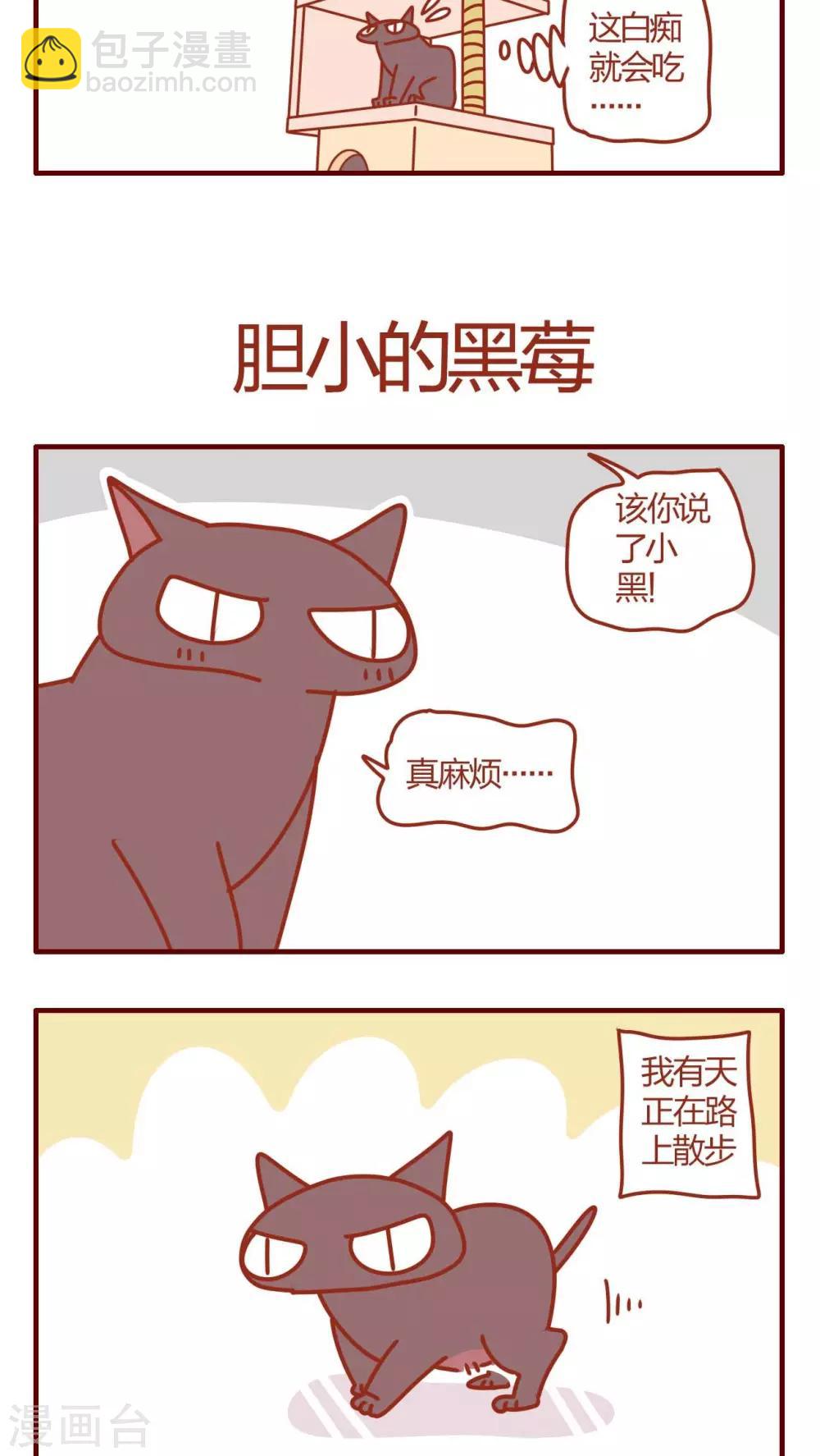 《猫咪甜品屋》第1话 第18页