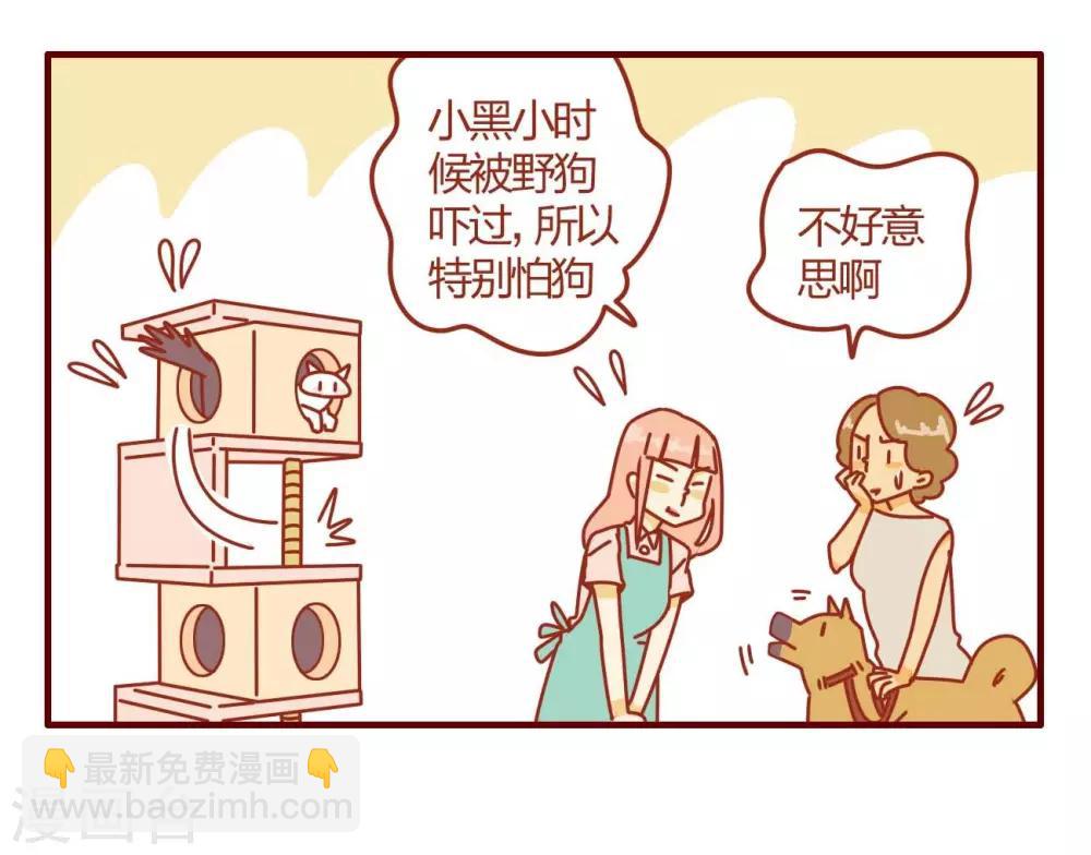 《猫咪甜品屋》第1话 第21页