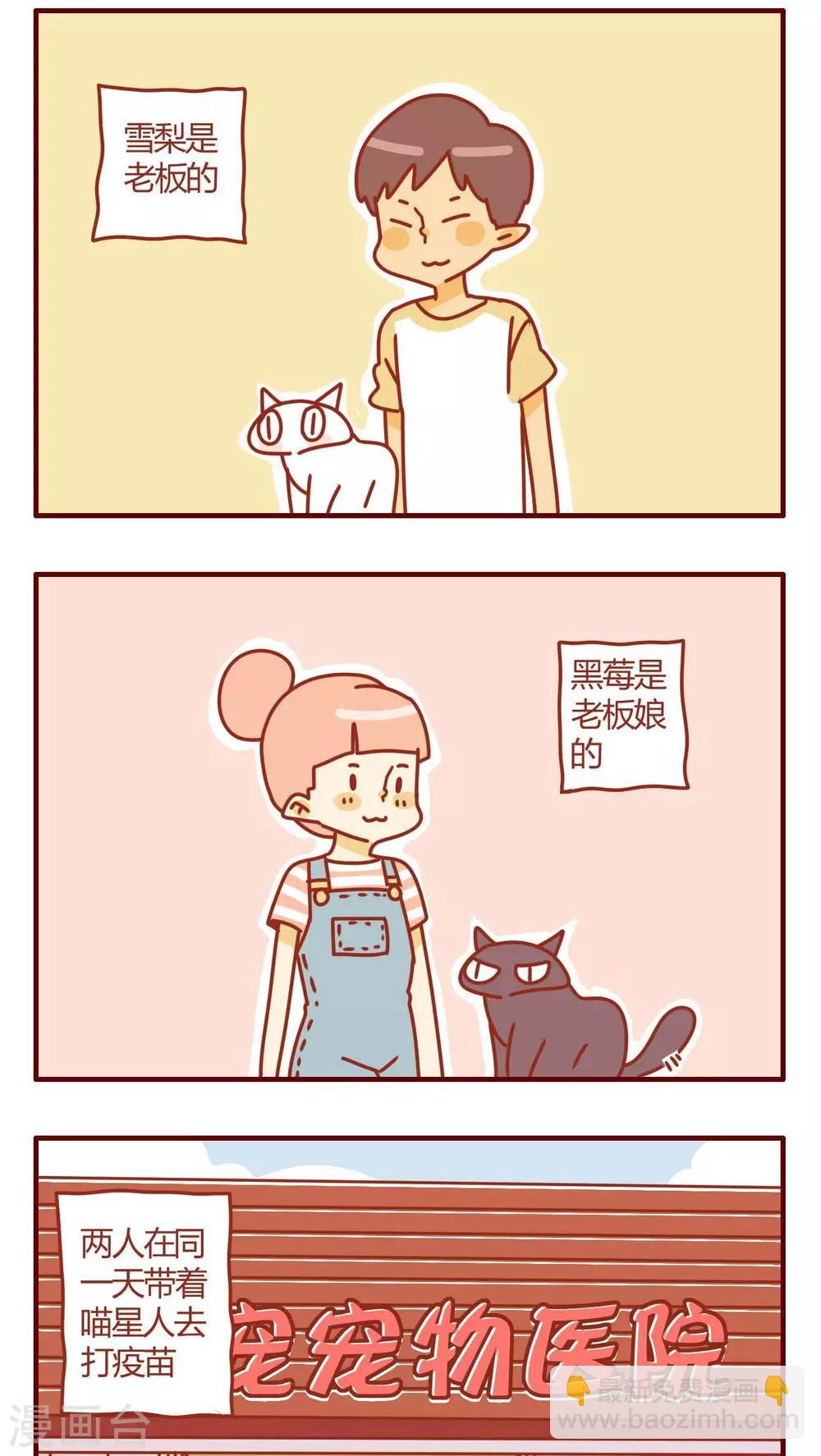 《猫咪甜品屋》第1话 第4页