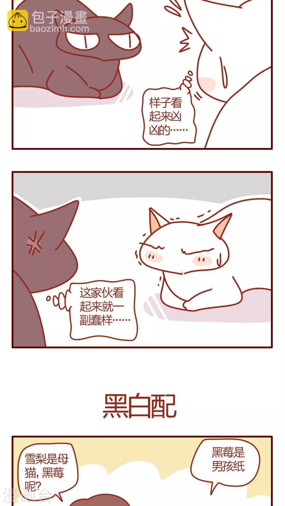 《猫咪甜品屋》第1话 第6页