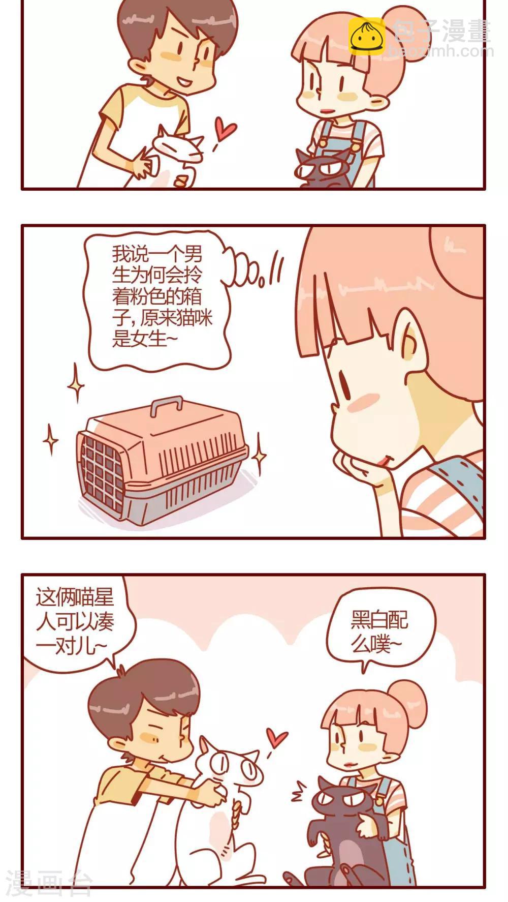 《猫咪甜品屋》第1话 第7页