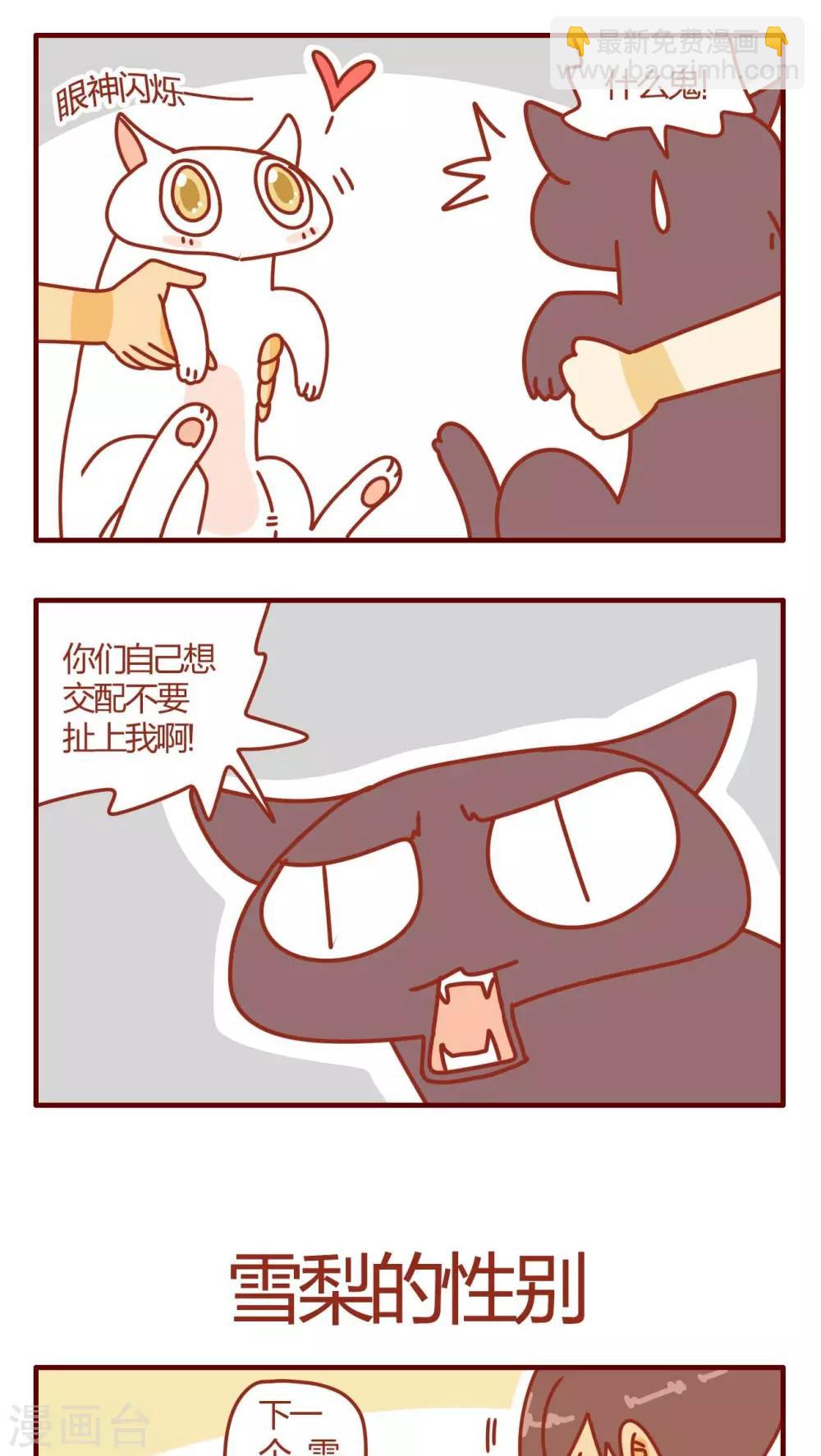 《猫咪甜品屋》第1话 第8页