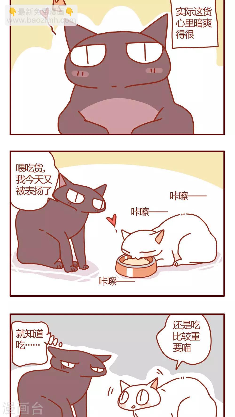 《猫咪甜品屋》第3话 第14页