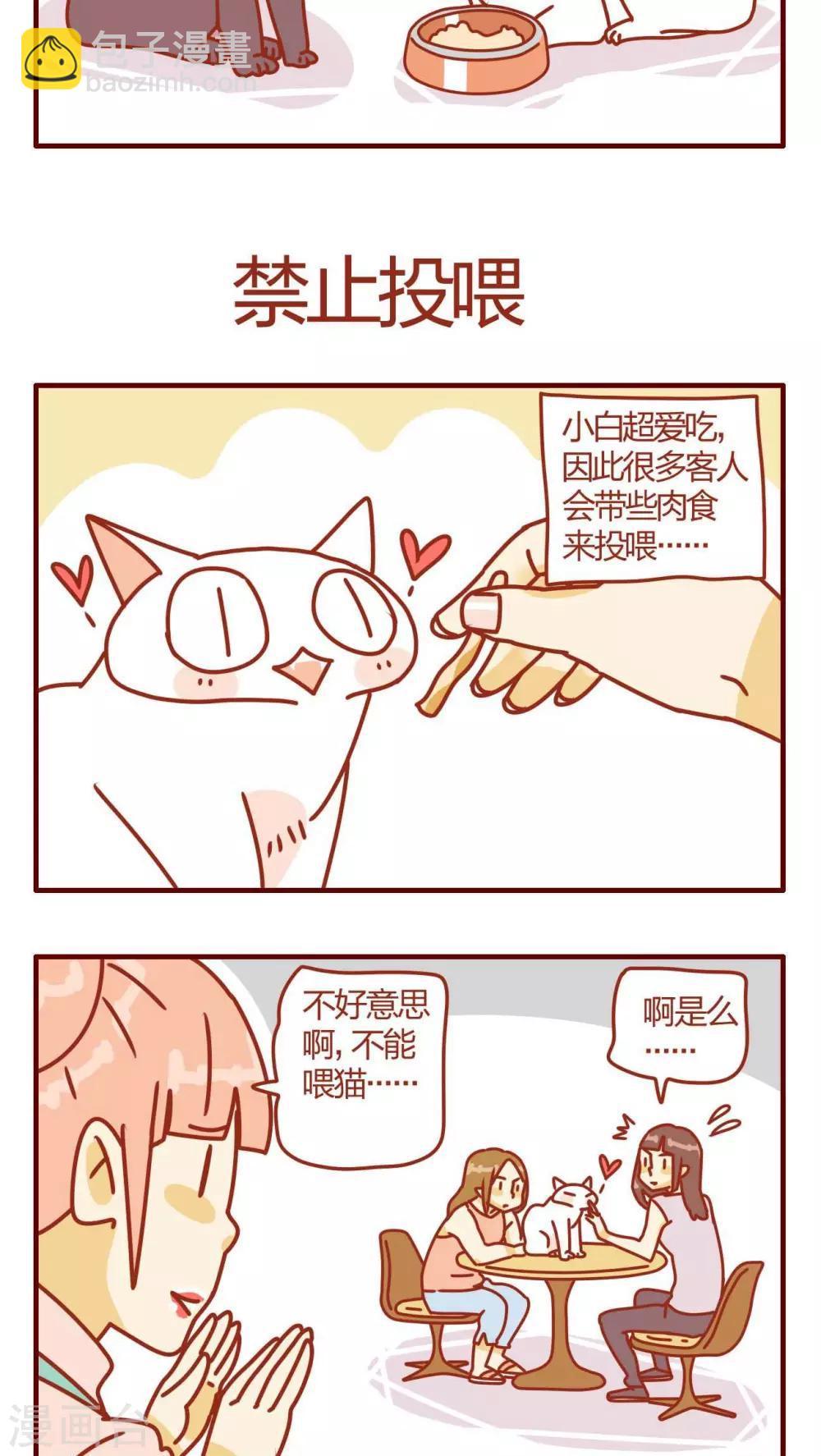 《猫咪甜品屋》第3话 第15页