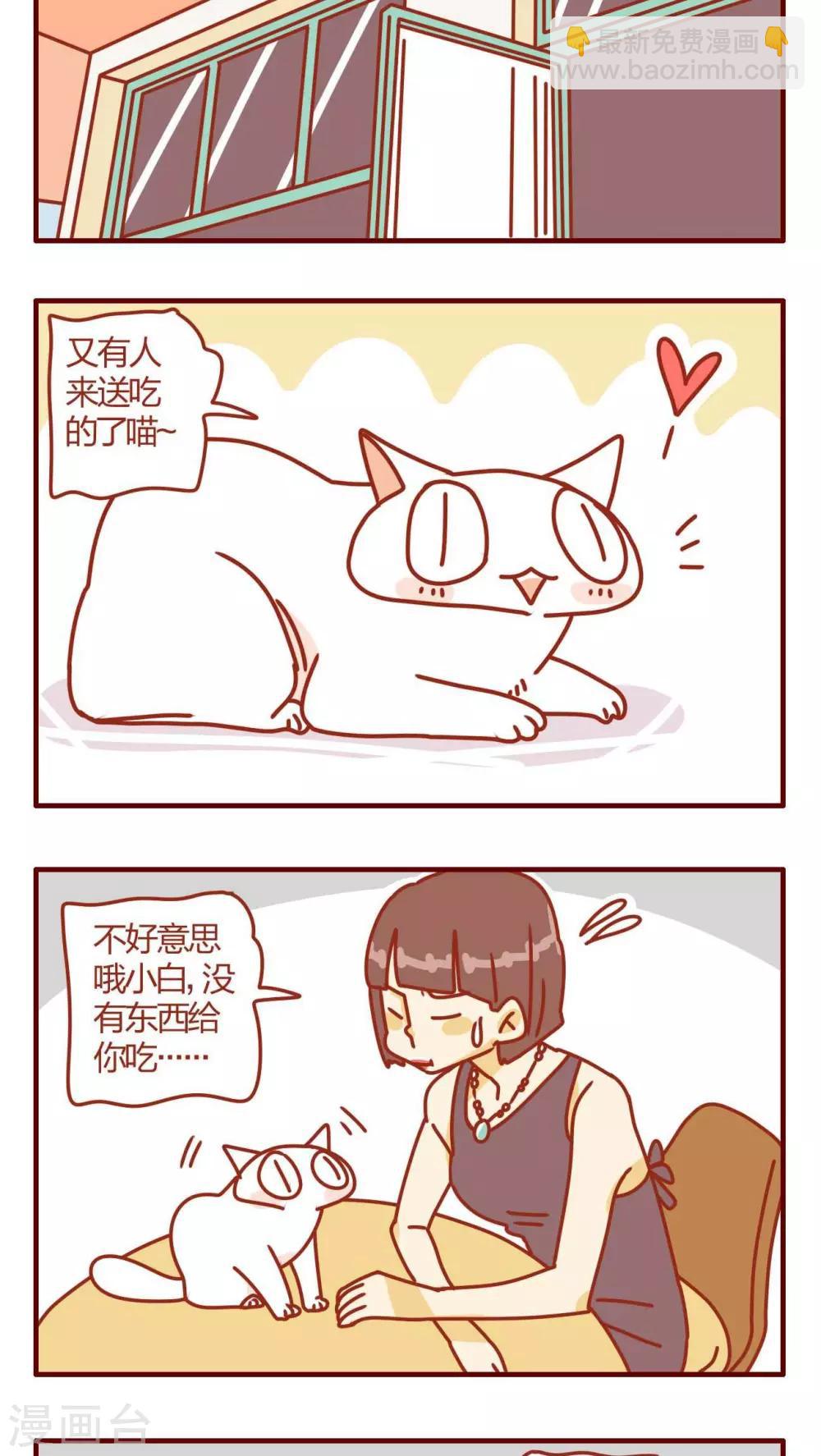 《猫咪甜品屋》第3话 第17页