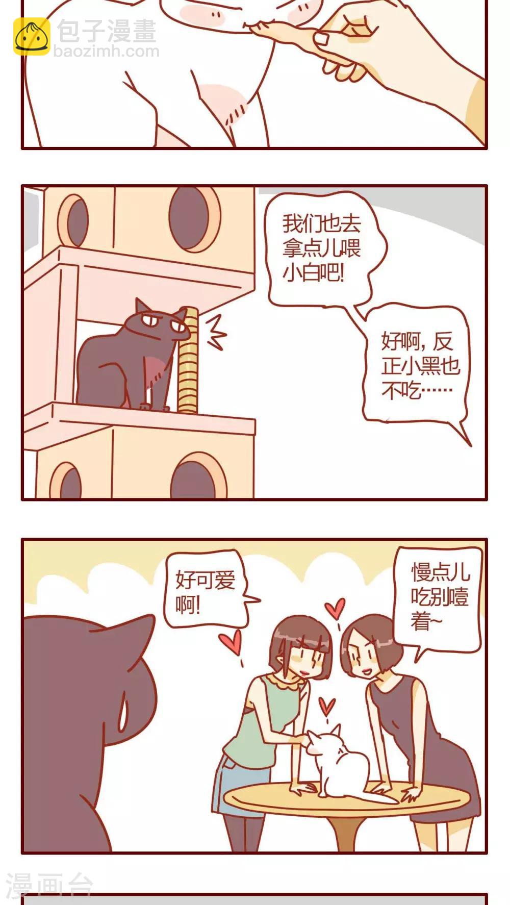 《猫咪甜品屋》第3话 第21页