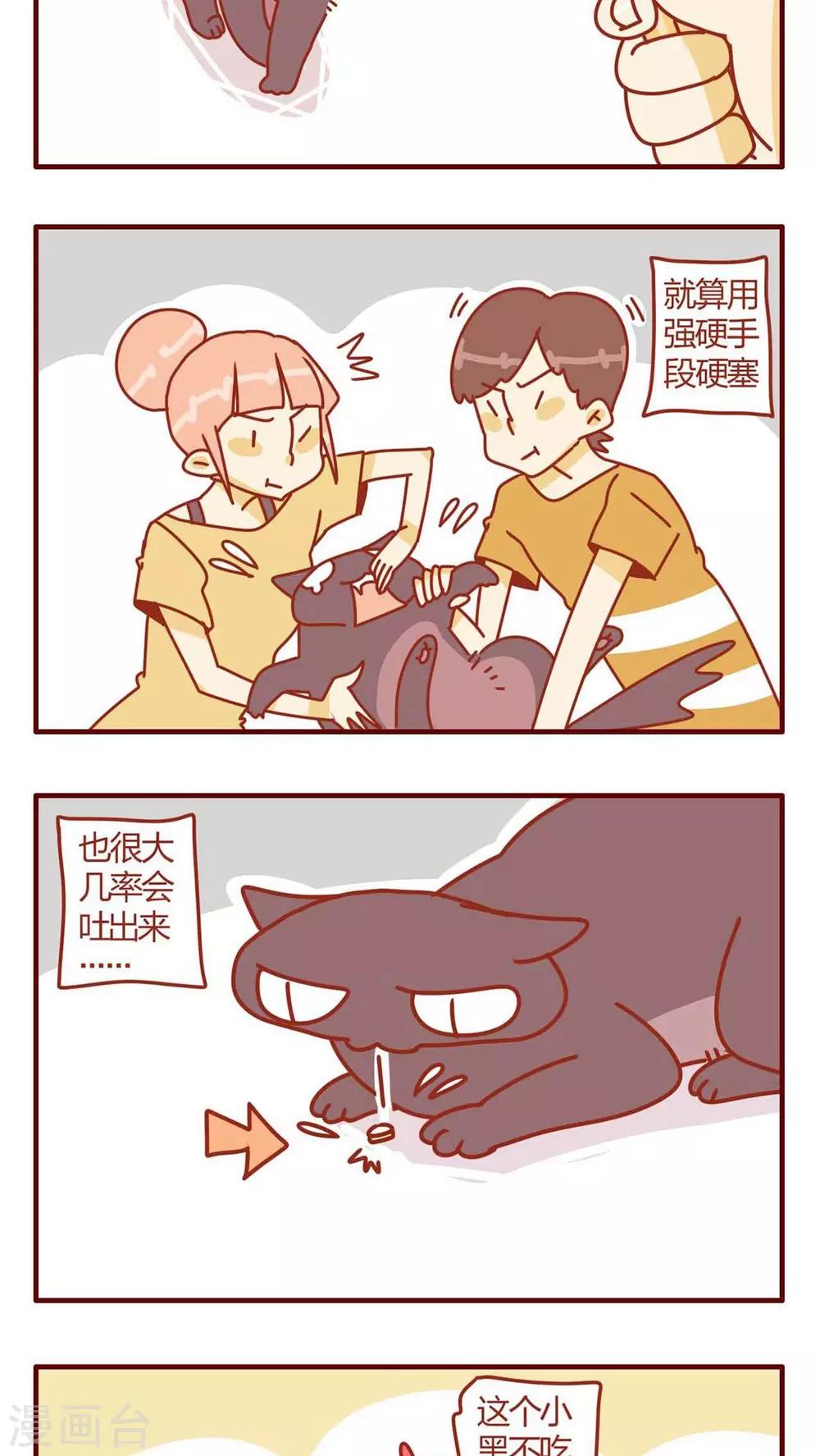 《猫咪甜品屋》第8话 第11页