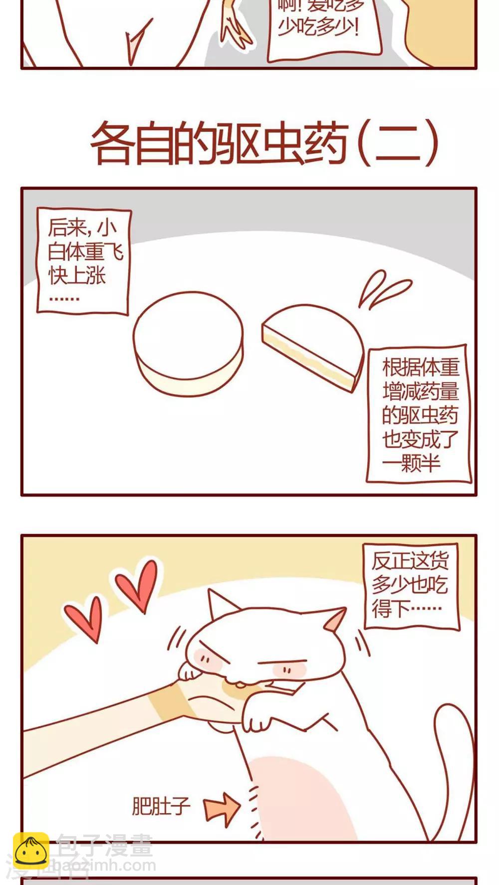 《猫咪甜品屋》第8话 第13页