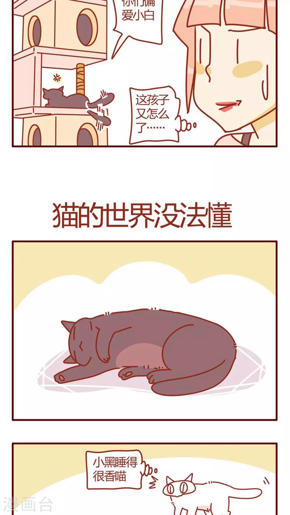 《猫咪甜品屋》第8话 第16页