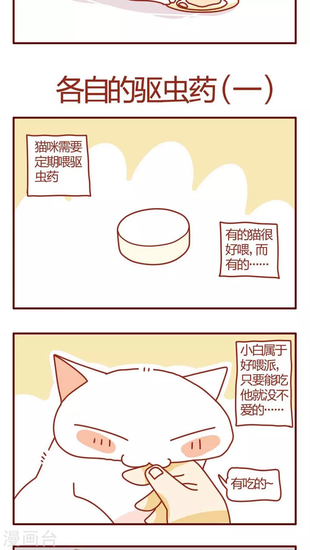 《猫咪甜品屋》第8话 第9页