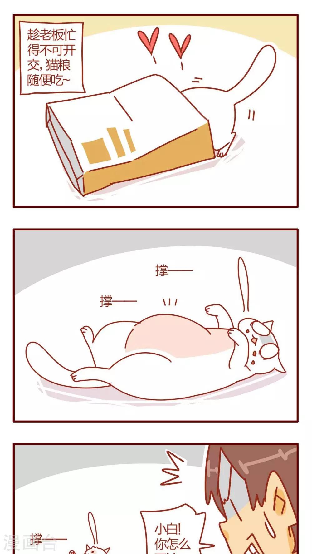 《猫咪甜品屋》第7话 第6页