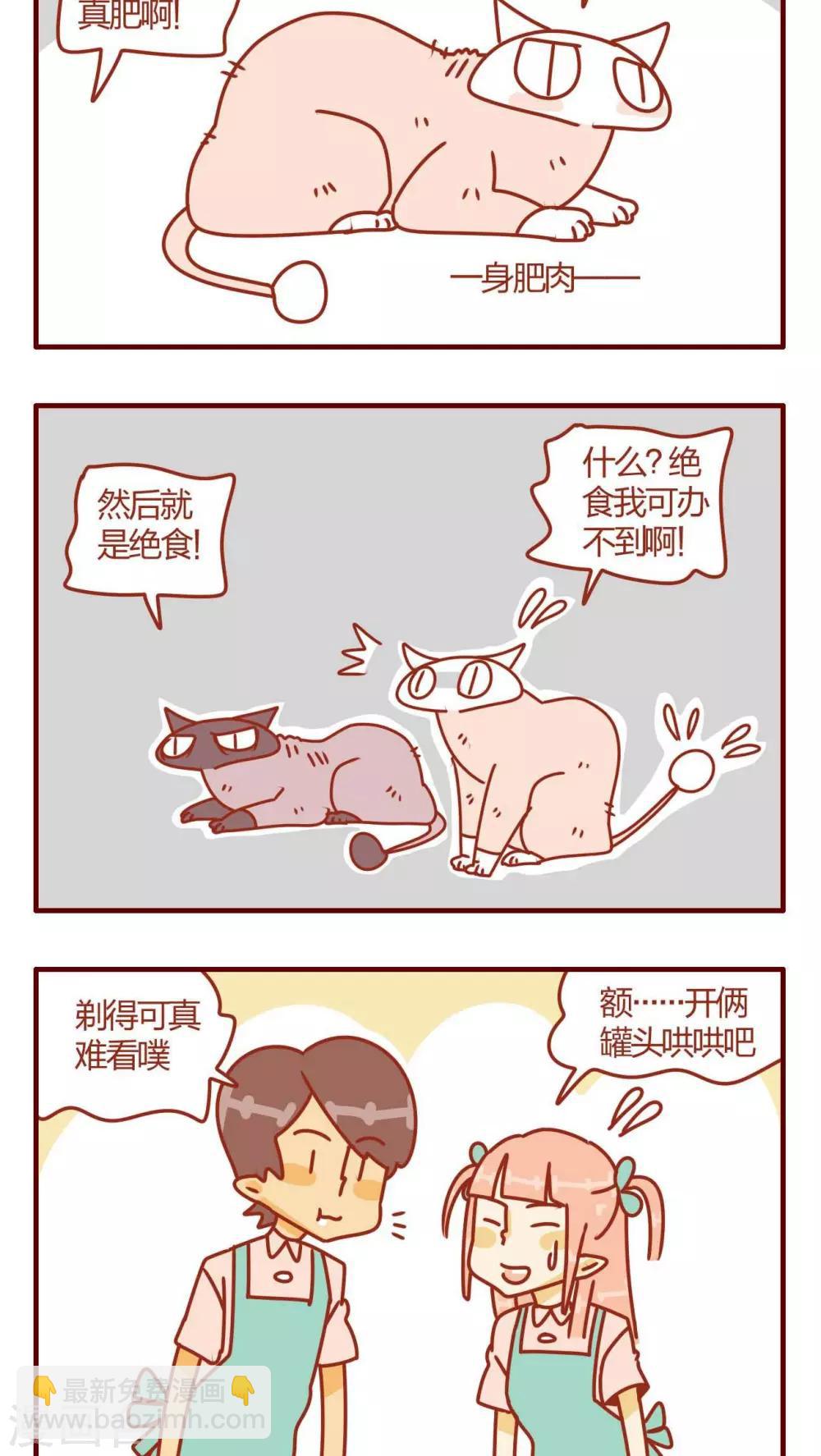 《猫咪甜品屋》第5话 第10页