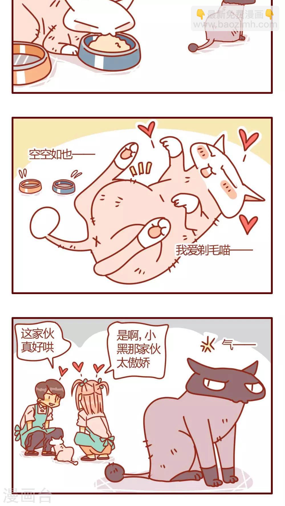 《猫咪甜品屋》第5话 第12页