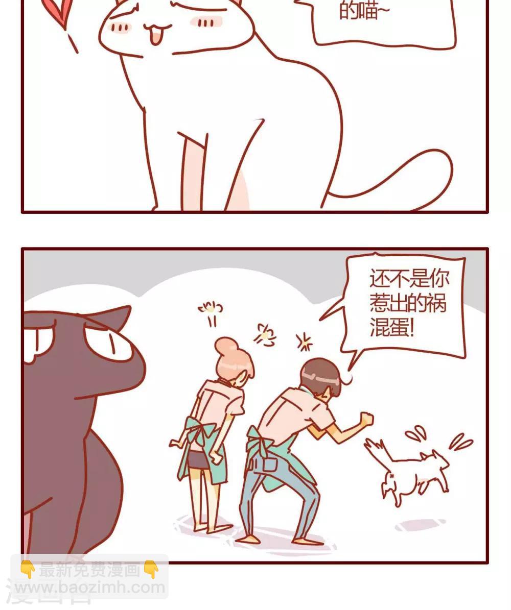 《猫咪甜品屋》第5话 第22页