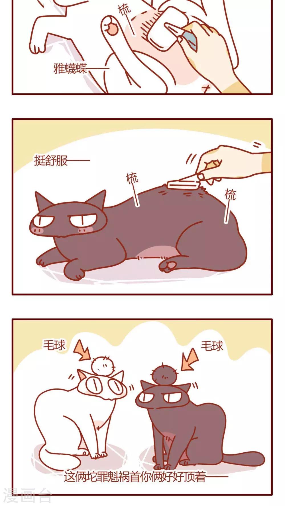 《猫咪甜品屋》第5话 第4页
