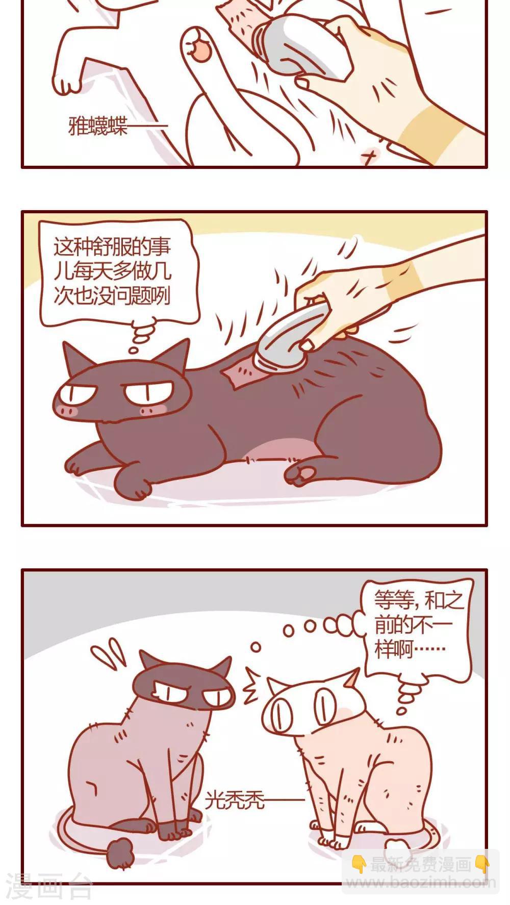 《猫咪甜品屋》第5话 第8页