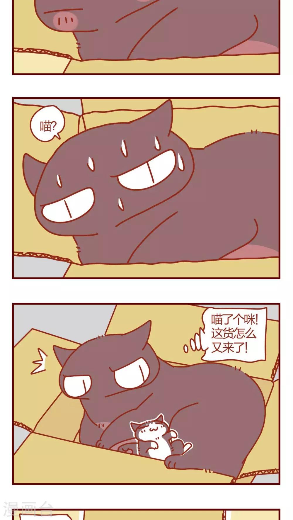 《猫咪甜品屋》第11话 第11页