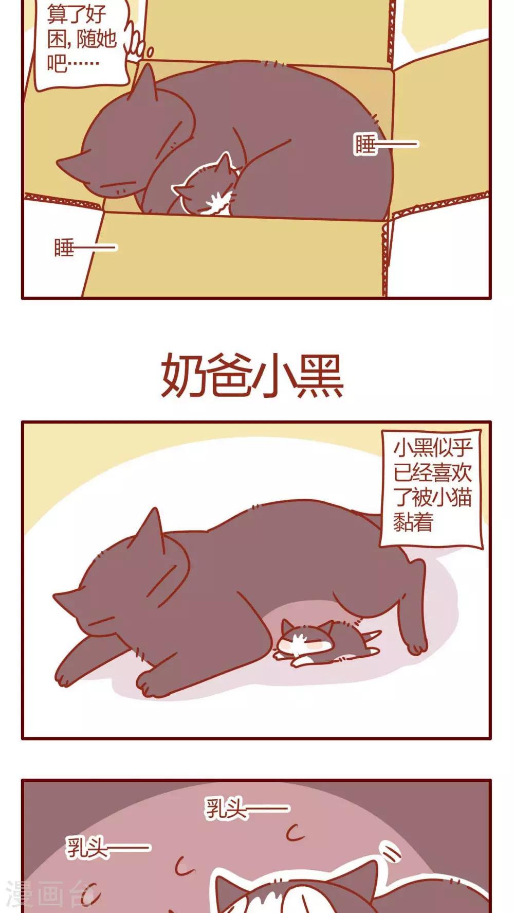 《猫咪甜品屋》第11话 第12页