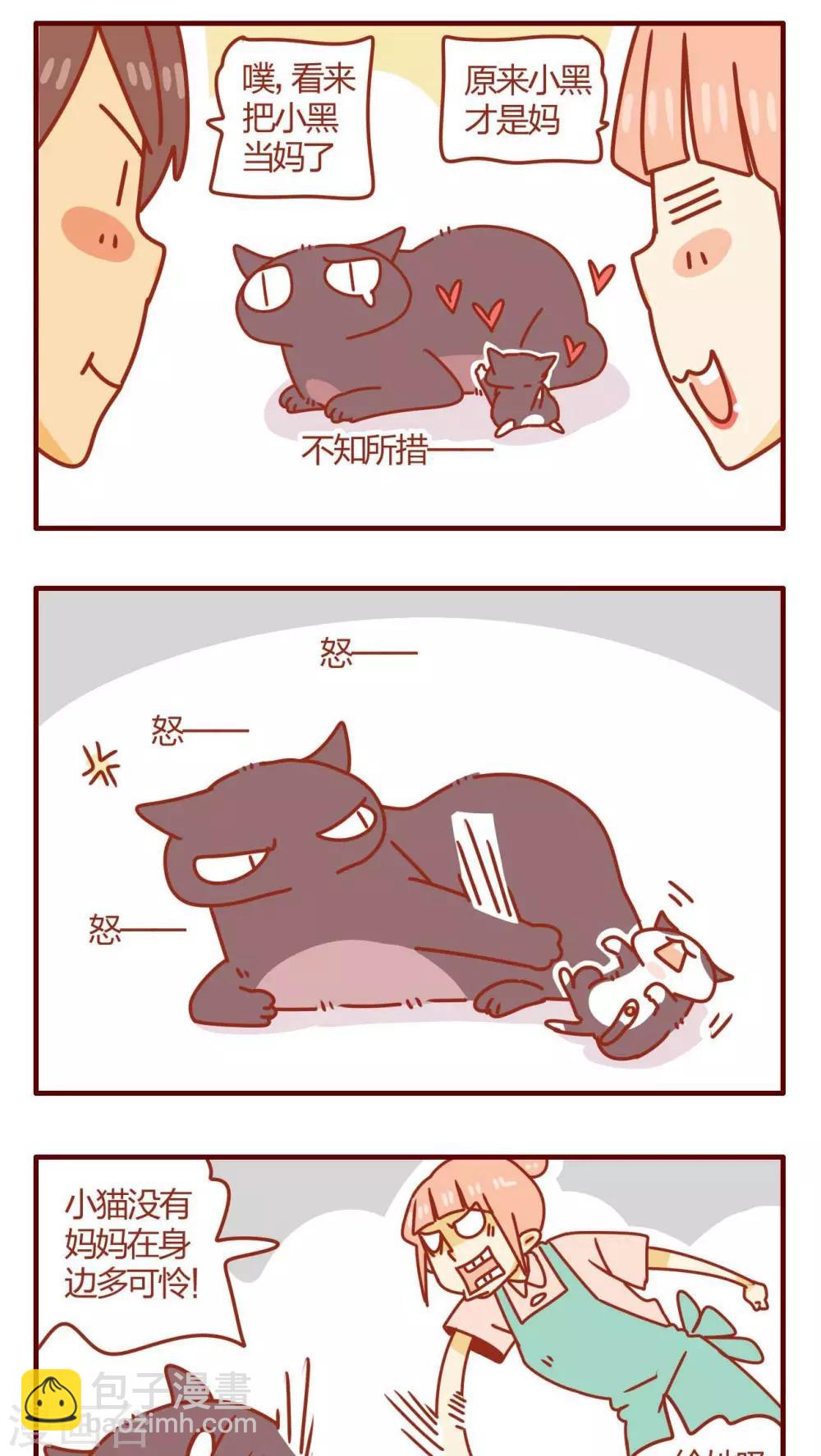 《猫咪甜品屋》第11话 第14页