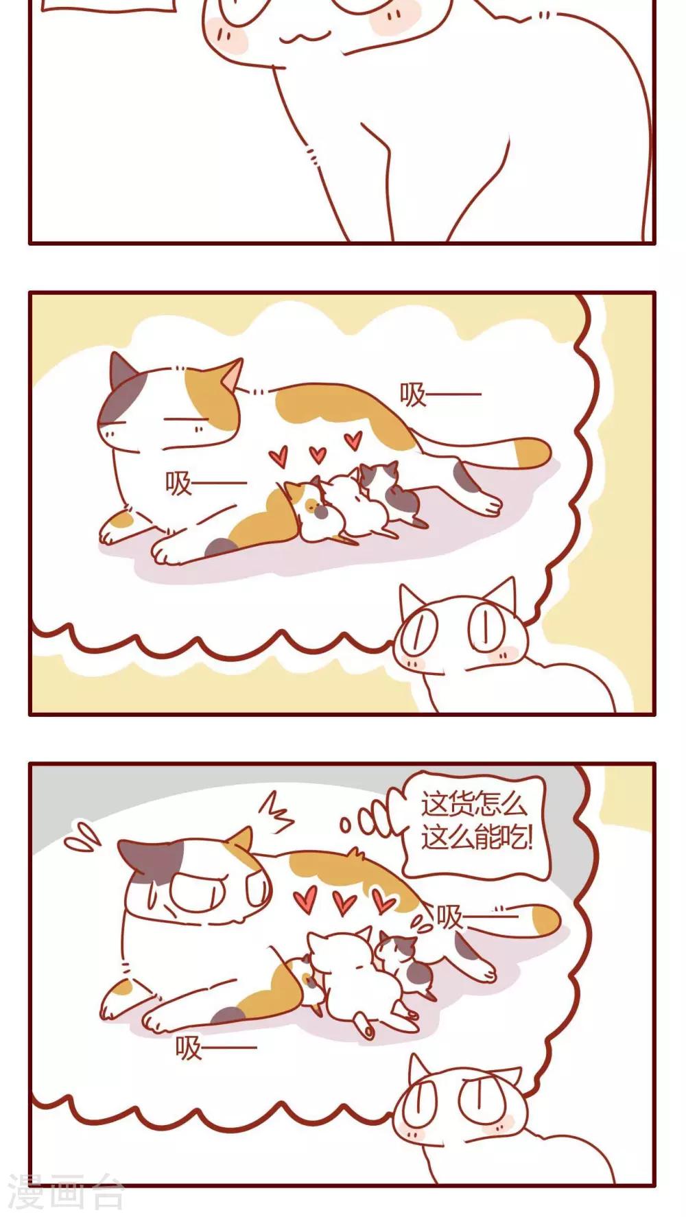 《猫咪甜品屋》第11话 第17页