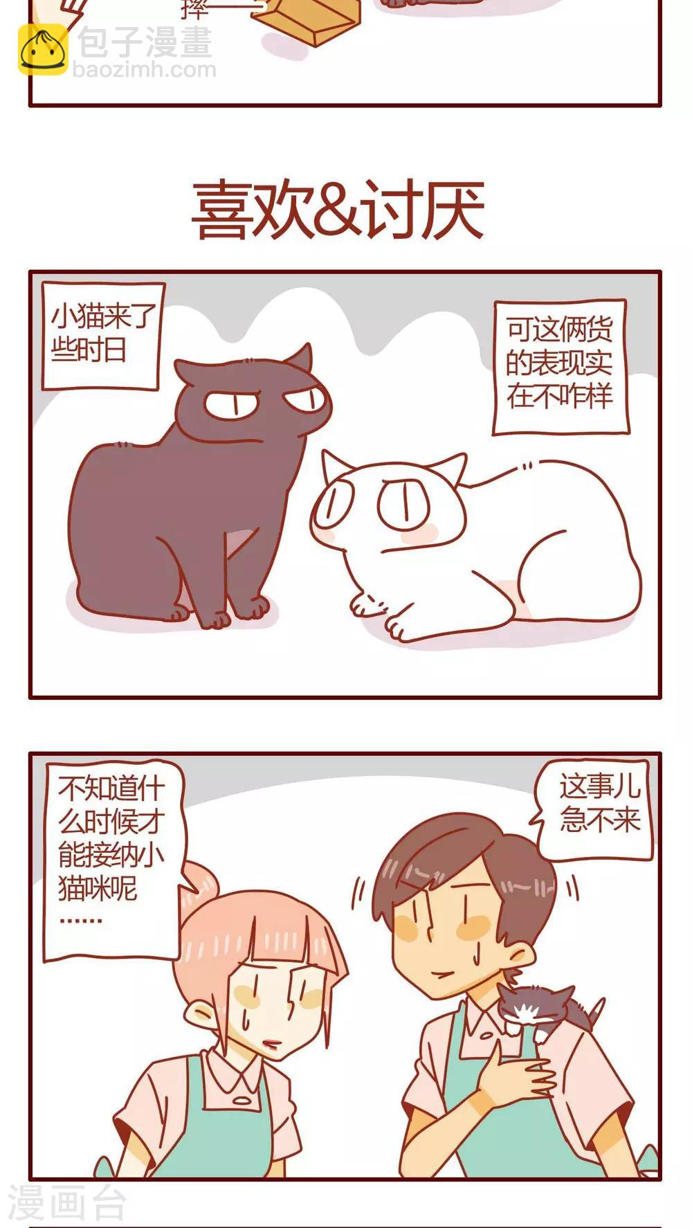 《猫咪甜品屋》第11话 第5页