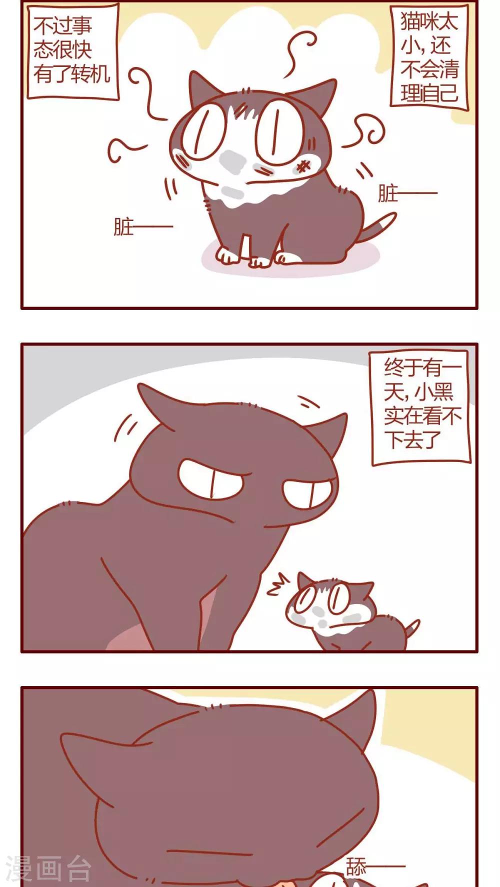 《猫咪甜品屋》第11话 第6页