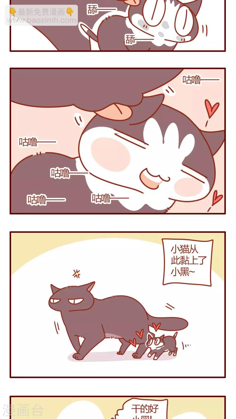 《猫咪甜品屋》第11话 第7页