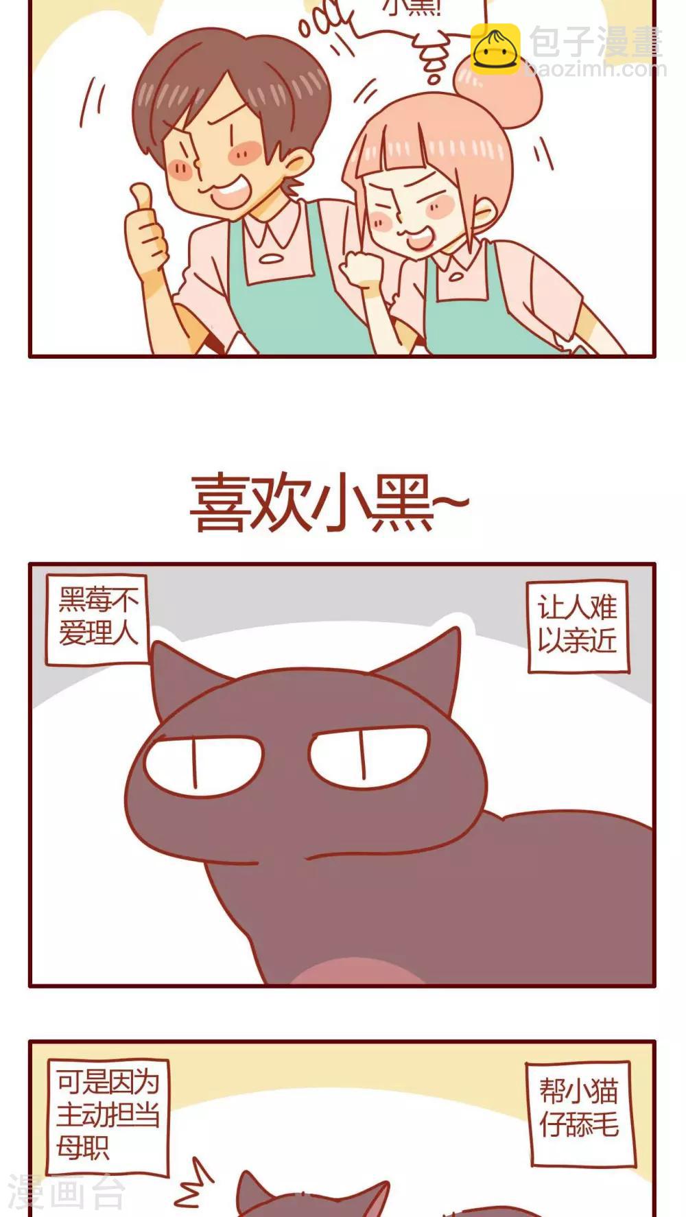 《猫咪甜品屋》第11话 第8页