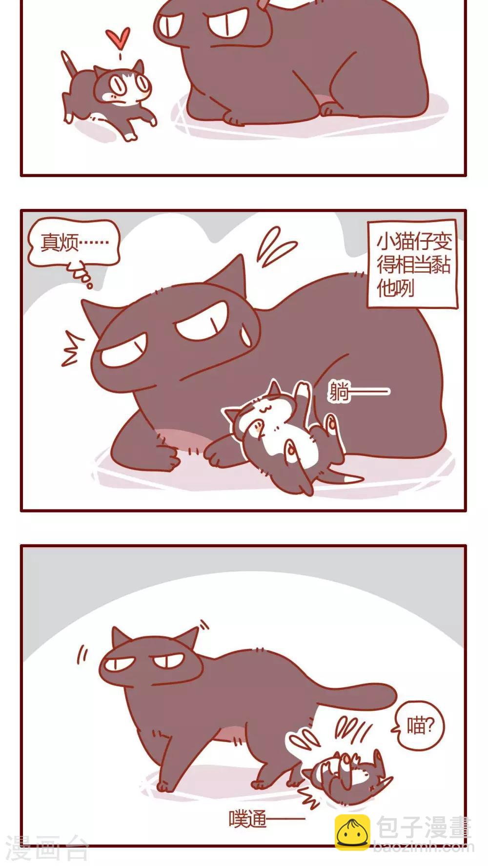 《猫咪甜品屋》第11话 第9页