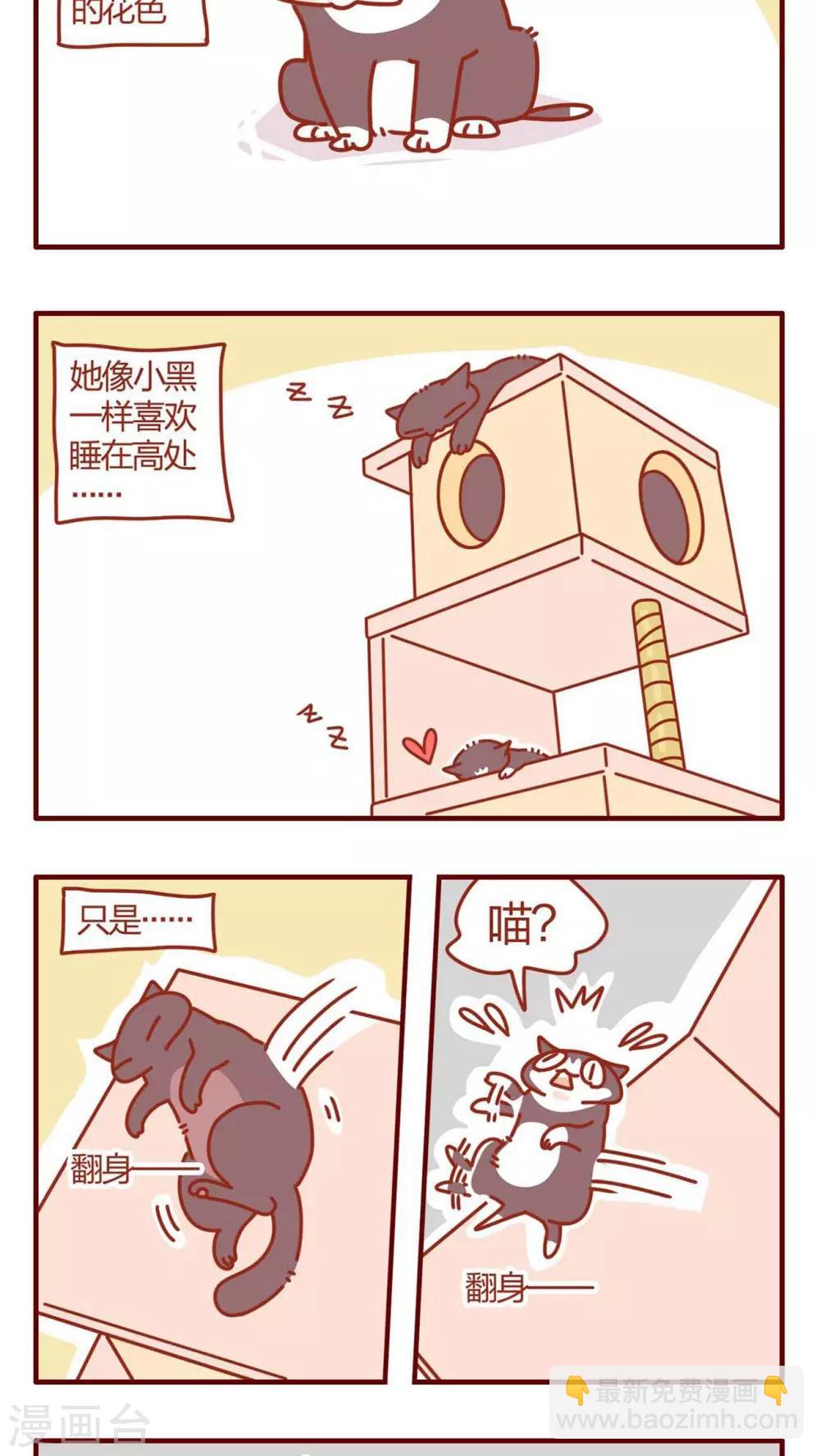 《猫咪甜品屋》第9话 第13页
