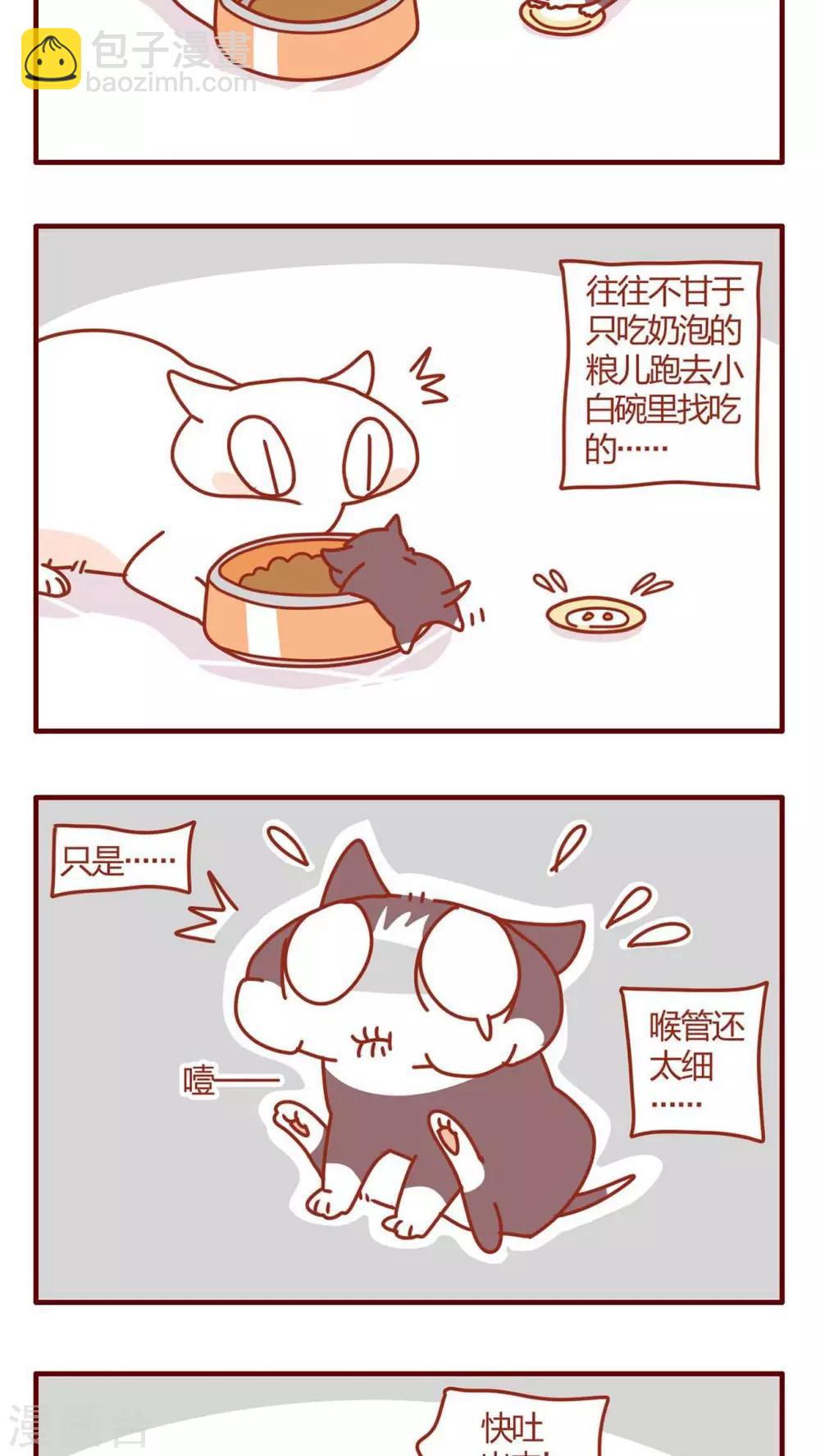 《猫咪甜品屋》第9话 第15页