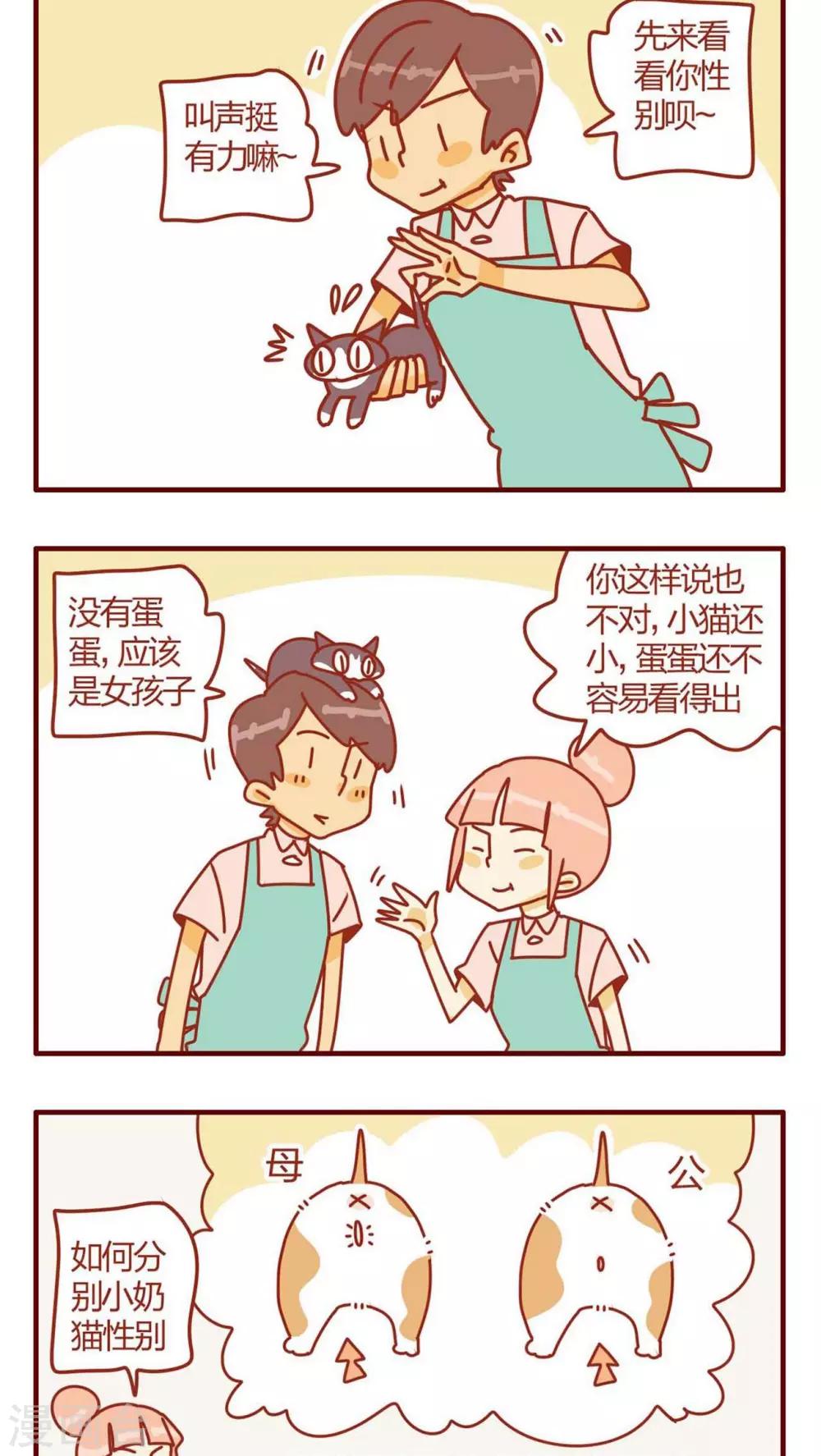 《猫咪甜品屋》第9话 第6页