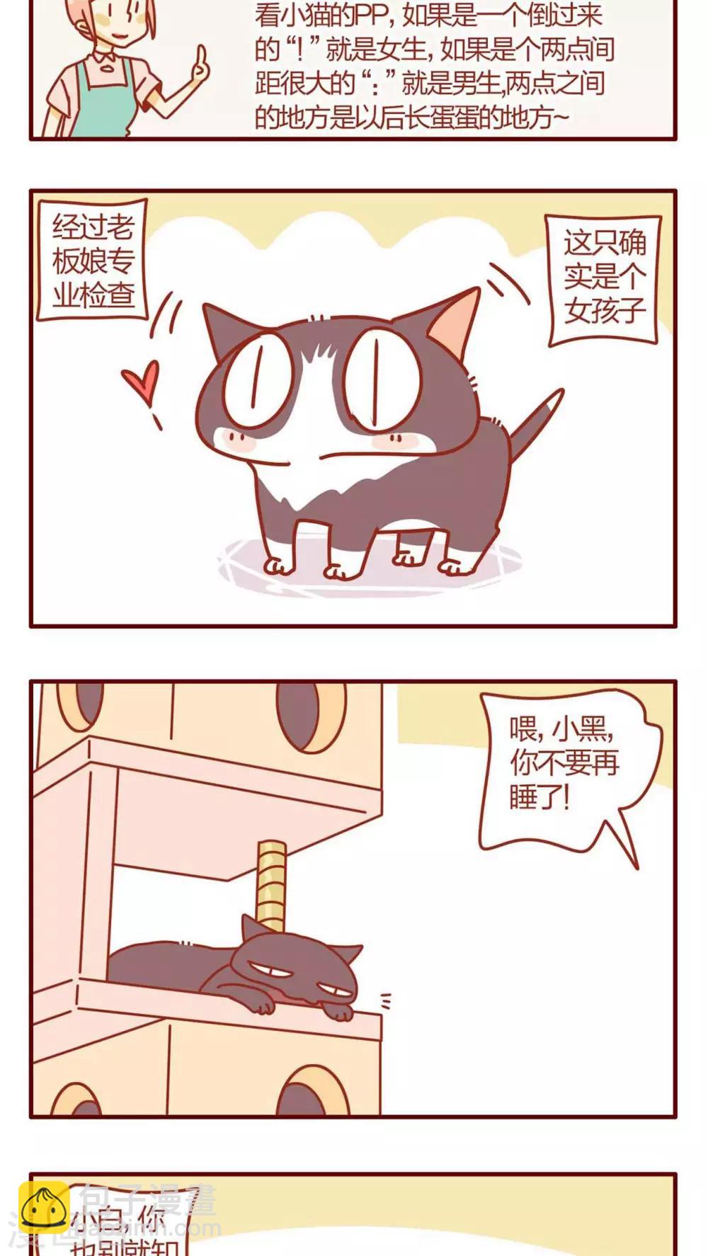 《猫咪甜品屋》第9话 第7页