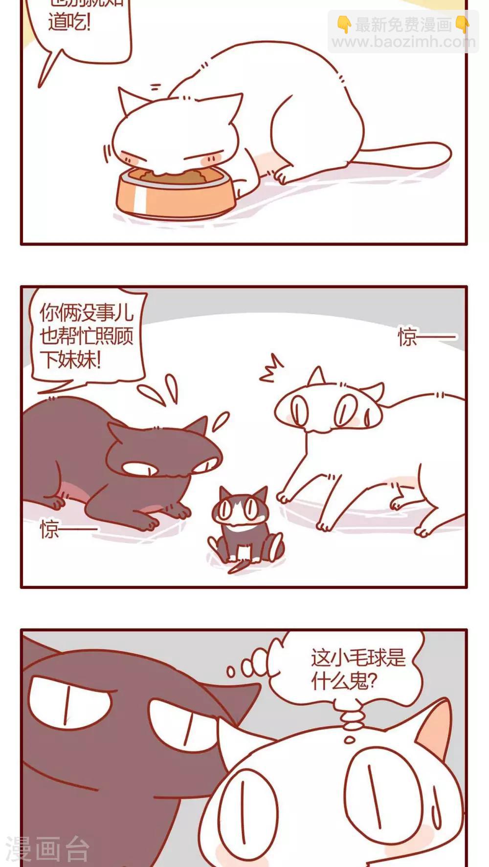 《猫咪甜品屋》第9话 第8页