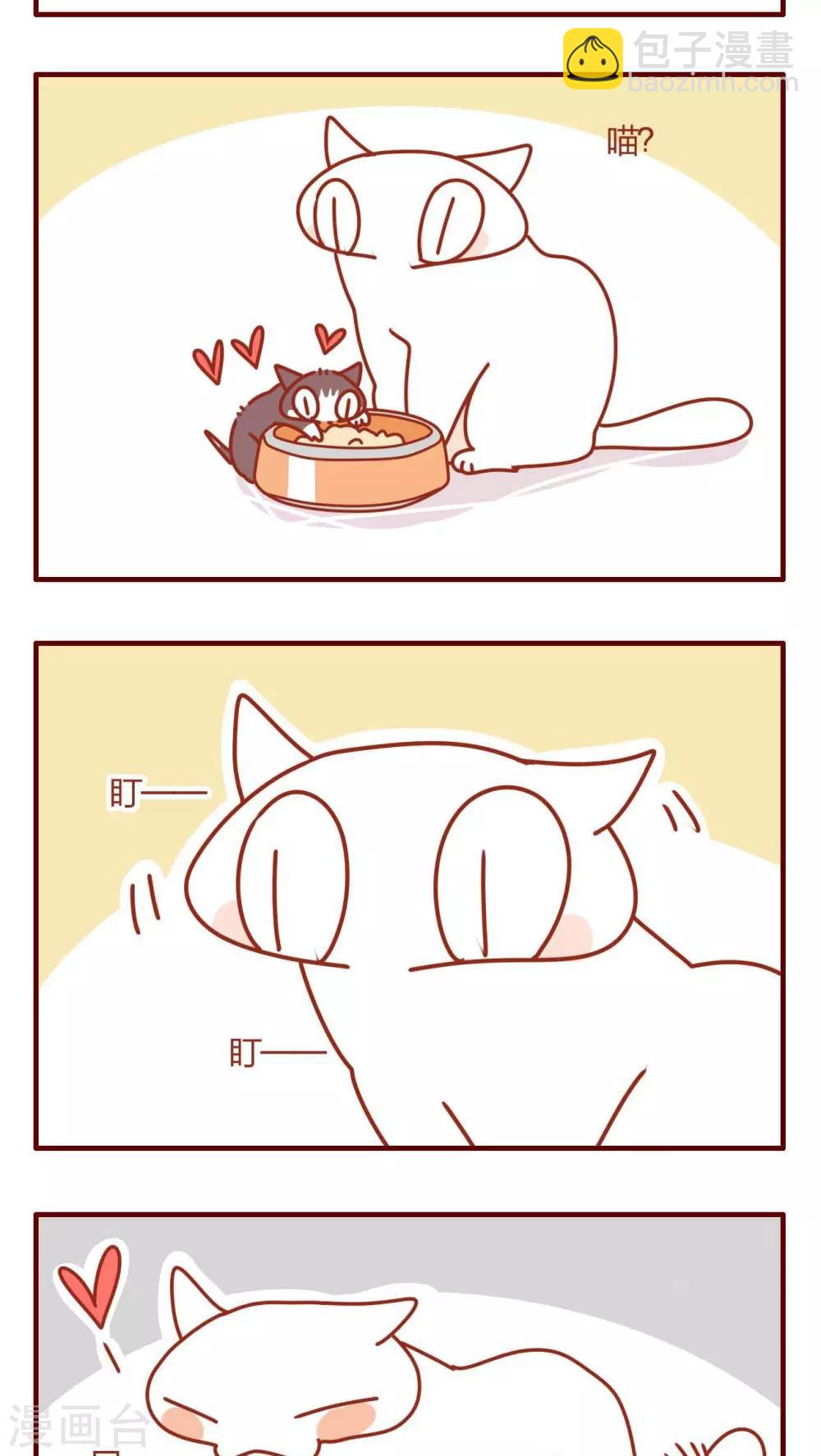 《猫咪甜品屋》第10话 第19页