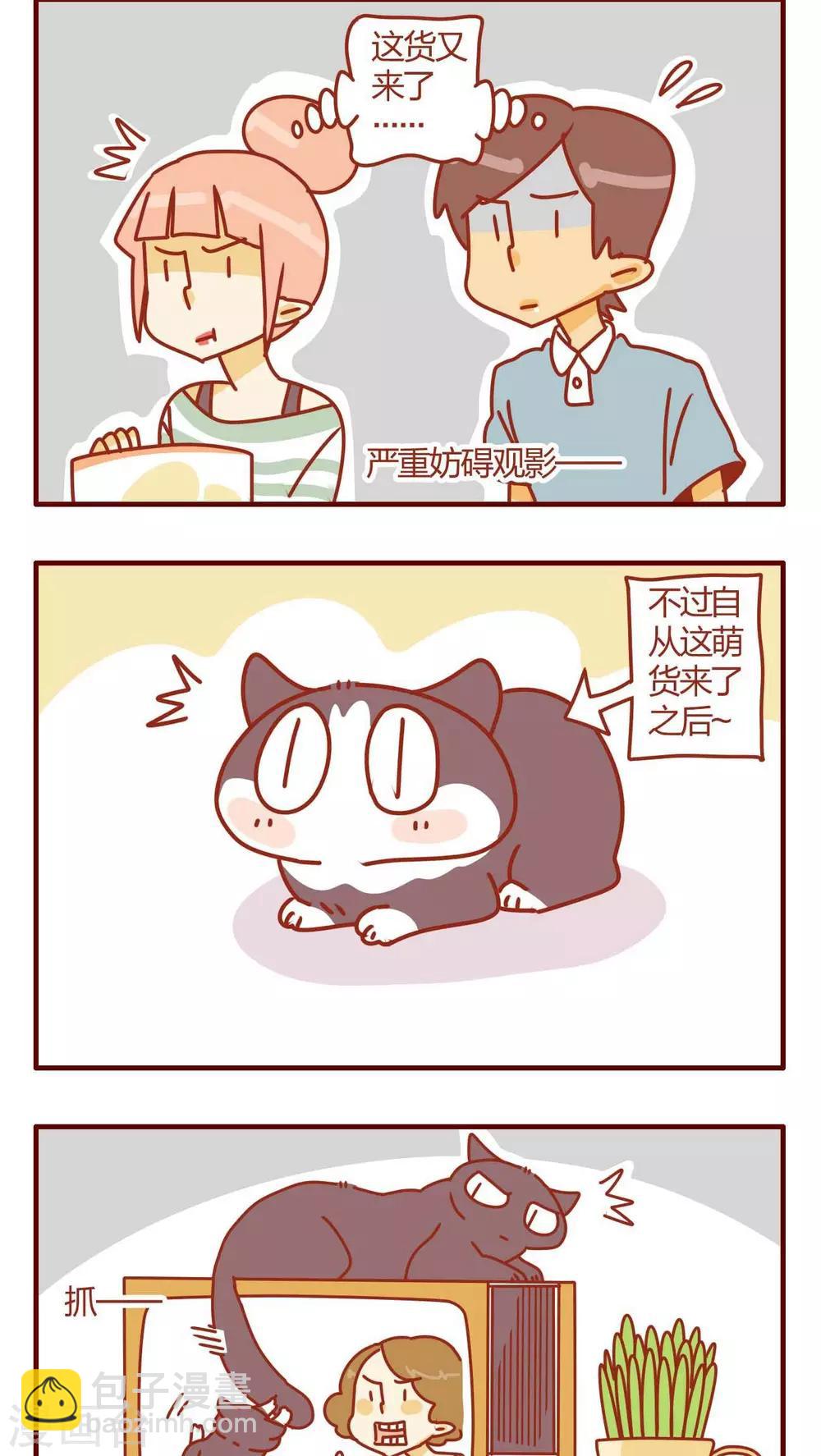 《猫咪甜品屋》第13话 第10页