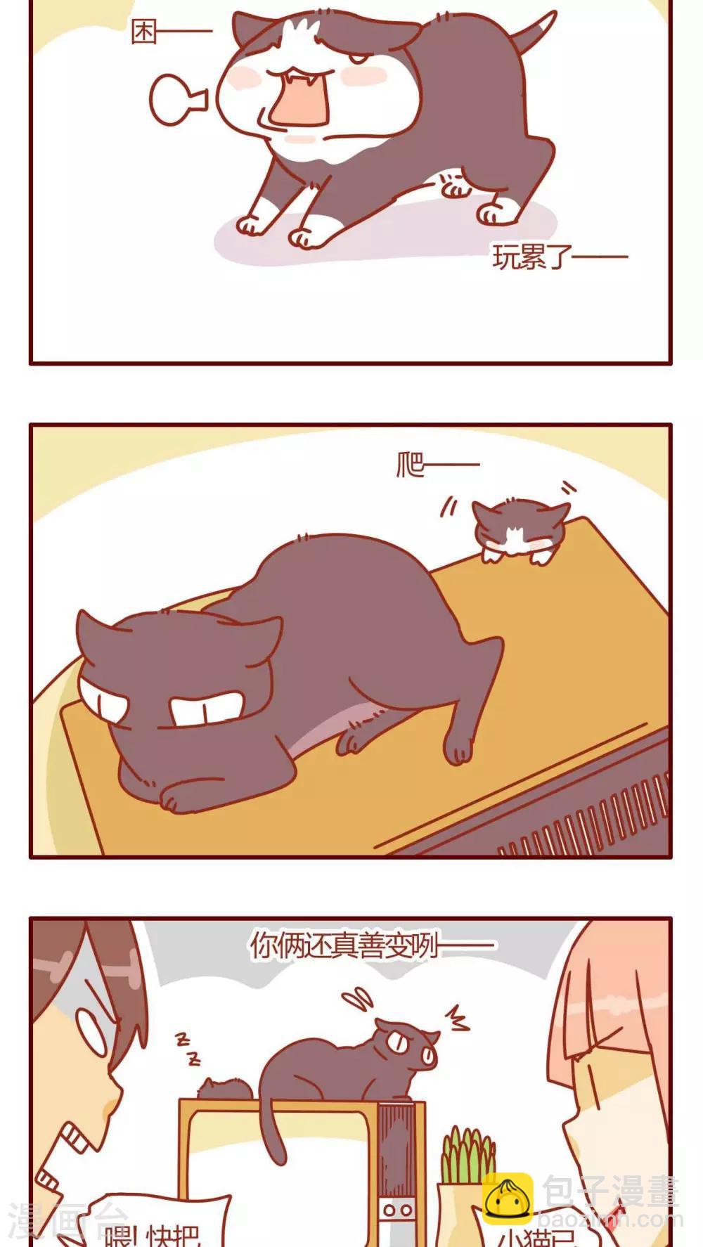 《猫咪甜品屋》第13话 第12页