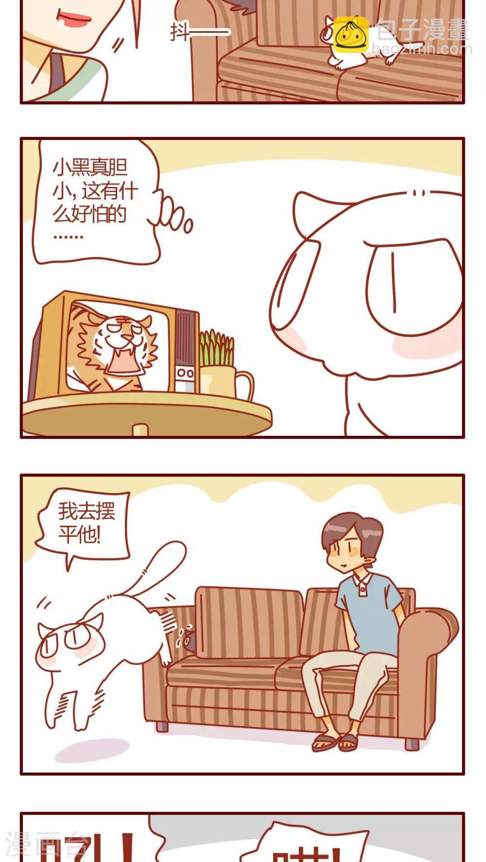 《猫咪甜品屋》第13话 第15页