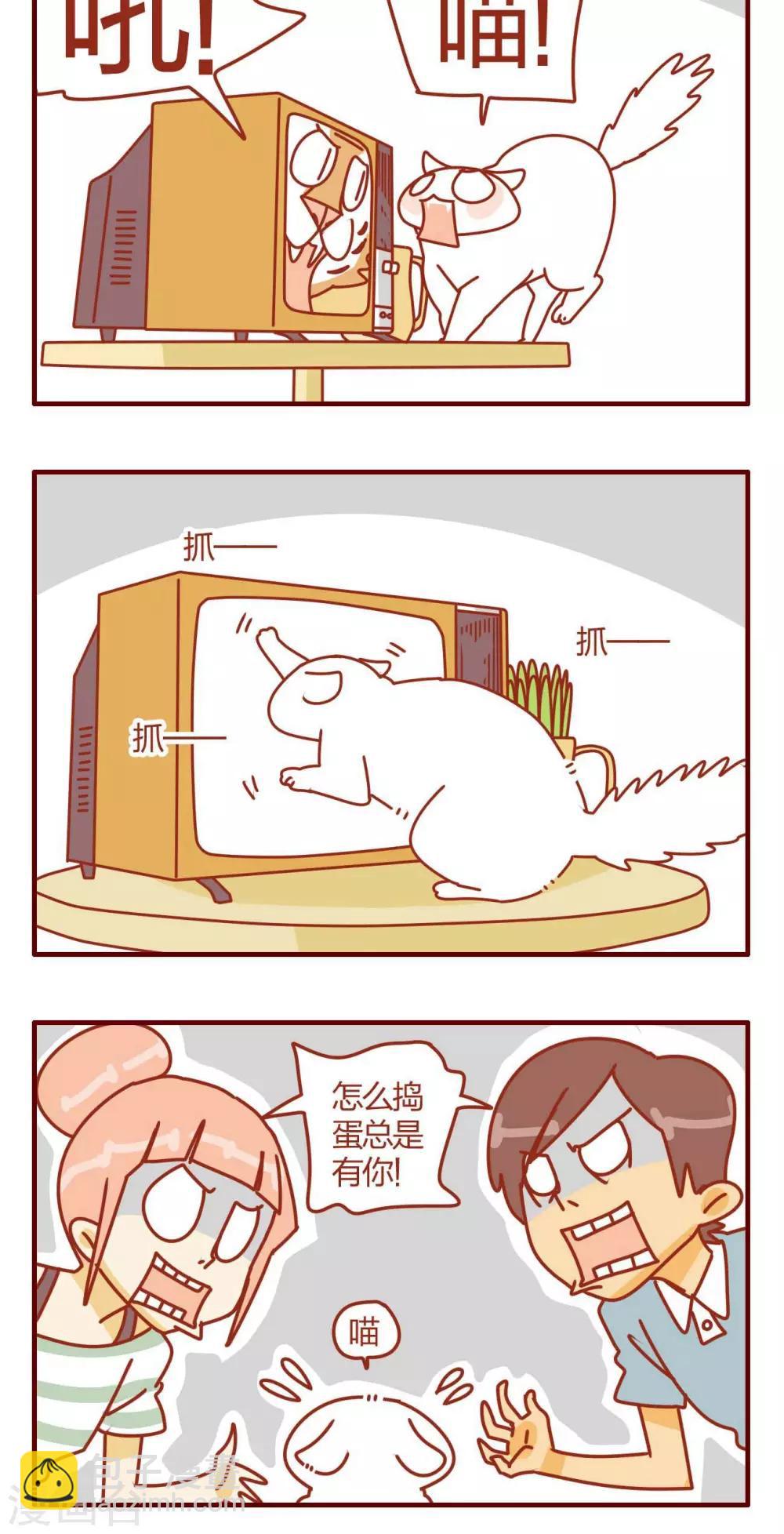 《猫咪甜品屋》第13话 第16页