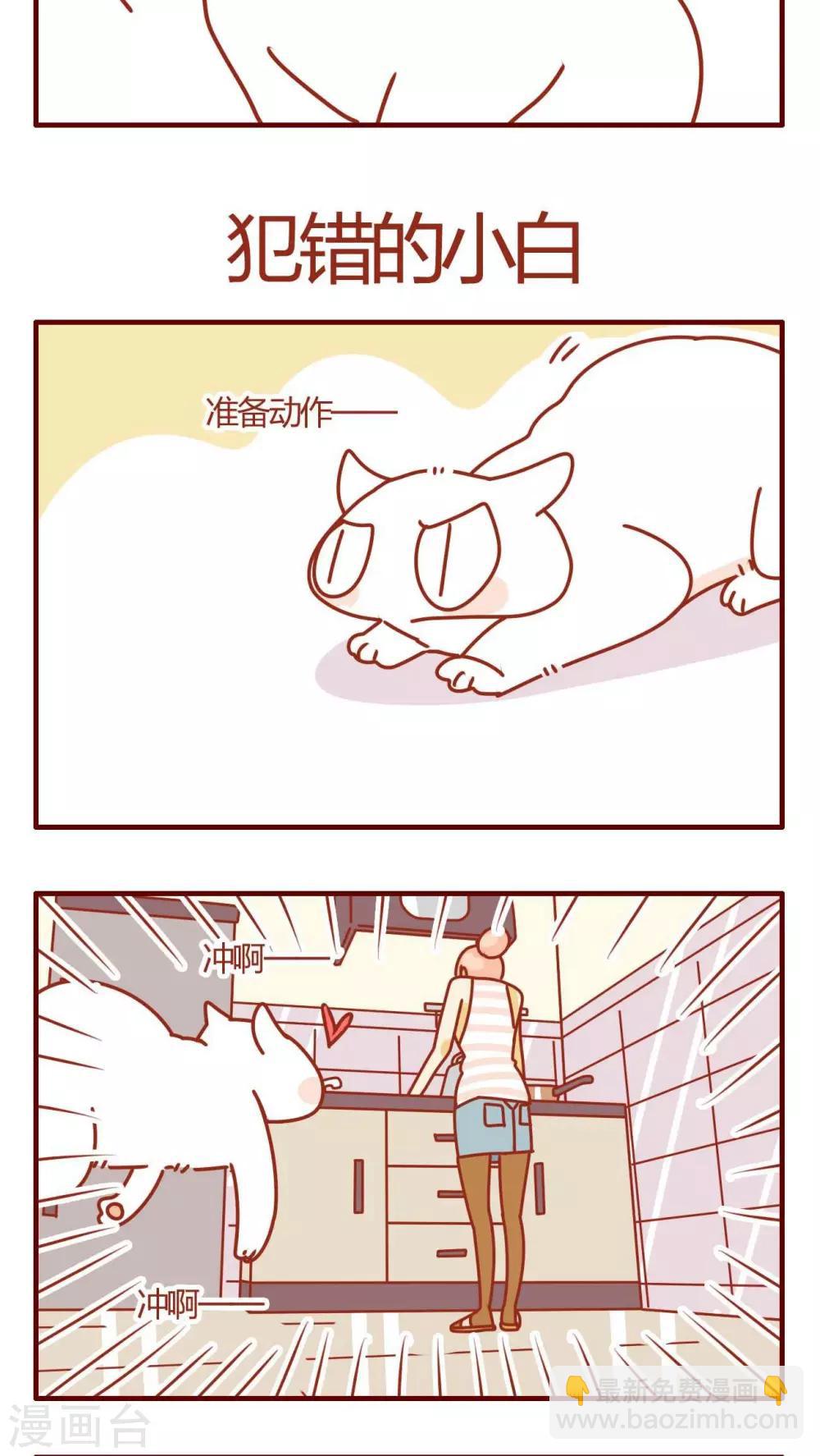 《猫咪甜品屋》第13话 第5页