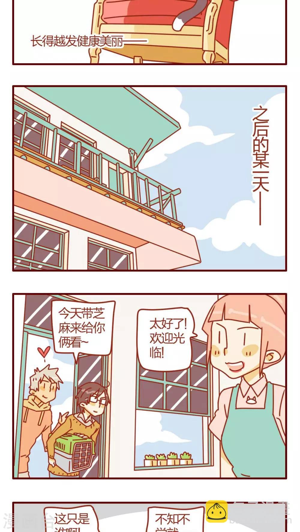 《猫咪甜品屋》第16话 第11页