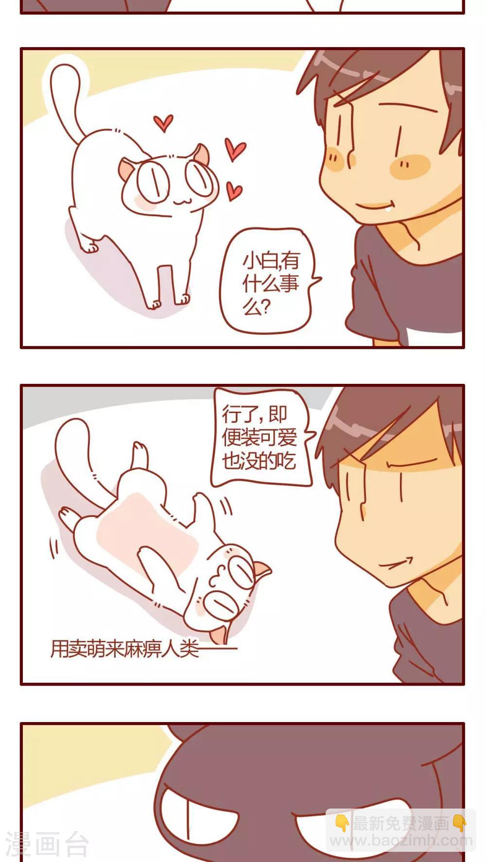 《猫咪甜品屋》第15话 第3页